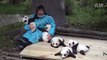 Baby pandas' looking for hugs，cute giant panda