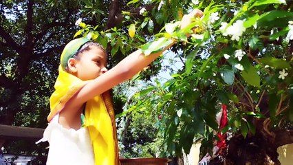 आबे हो मईया   SWECHCHHA SAHU _ UTAAM SAHU