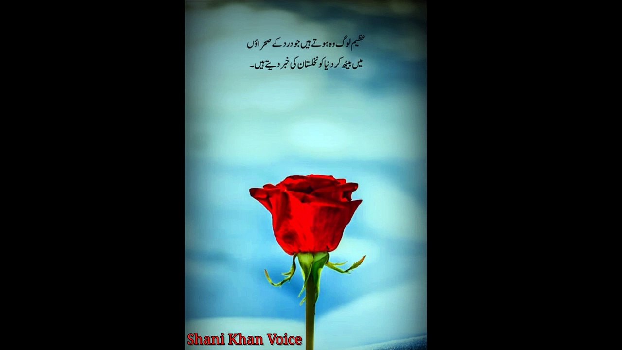 Best quotes in urdu | inspiration quotes| best quotes lines.