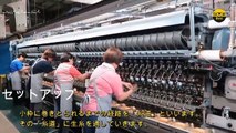 فیکٹری میں ریشم کے کیڑے کی حیرت انگیز پروسیسنگ _ Processing and Production Of Silkworm In Factory