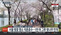 이른 벚꽃 만개…휴일 상춘객 '인산인해'