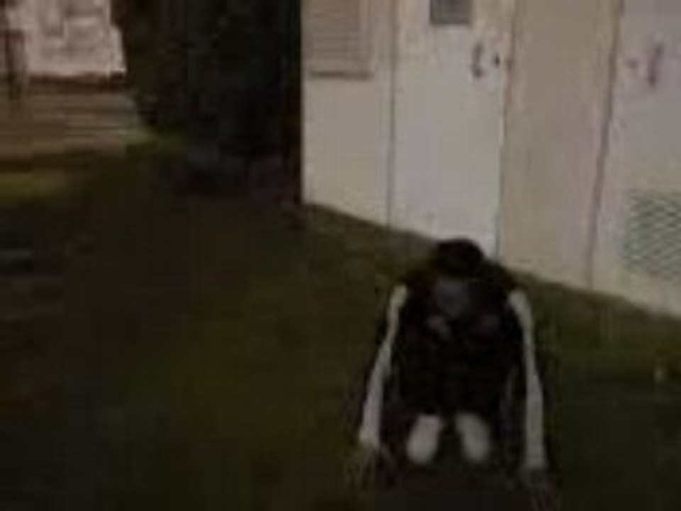 Vidéo0002
