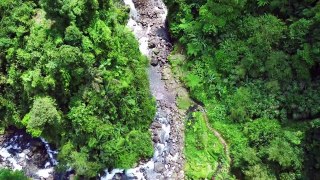 captivating drone views of rainforest waterfalls