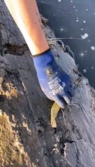 Discover videos of pretty girls catching fish