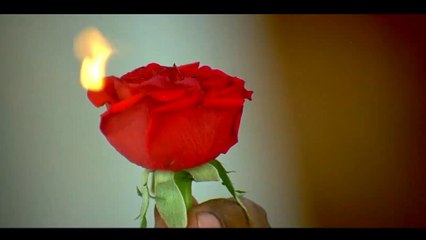 Live man's kidney operation ---- heart wrenching comedy,Sauth moovey comedy video,  Sauth moovey comedy clip,  Sauth moovey clip,  Hindi dubd comedy video,  Comedy video sauth moovey,  Comedy video clip,  Comedy,  Comedy Corner,
