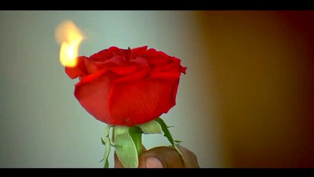 Live man's kidney operation heart wrenching comedy,Sauth moovey comedy video, Sauth moovey comedy clip, Sauth moovey clip, Hindi dubd comedy video, Comedy video sauth moovey, Comedy video clip, Comedy, Comedy Corner,