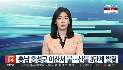 충남 홍성군 야산서 불…산불 3단계 발령