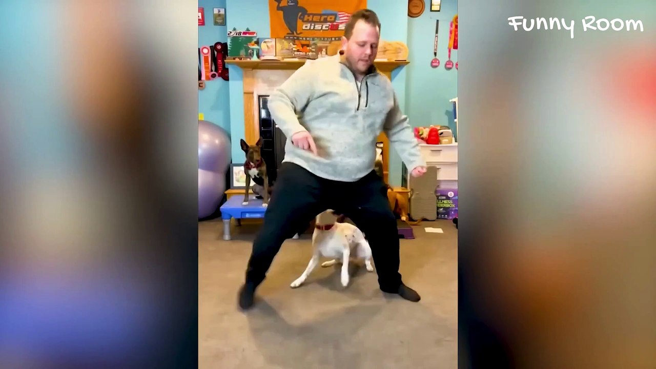 Try Not To Laugh Challenge - Funny Cat & Dog