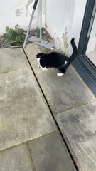 Bow Experiences Wind for the First Time