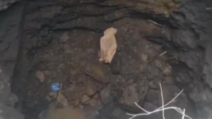 जोबट: कुएं की खुदाई के दौरान धसकी मिट्टी,दबने से मजदूर की मौत