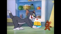 Tom & Jerry  Stuck Together  Classic Cartoon Compilation