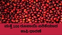 ಕೊಡಗು:ಏರುಗತಿಯಲ್ಲಿ ಸಾಗಿದ ಕಾಫಿ ಧಾರಣೆ..ಹೇಗಿದೆ ಗೊತ್ತಾ ರೇಟ್?