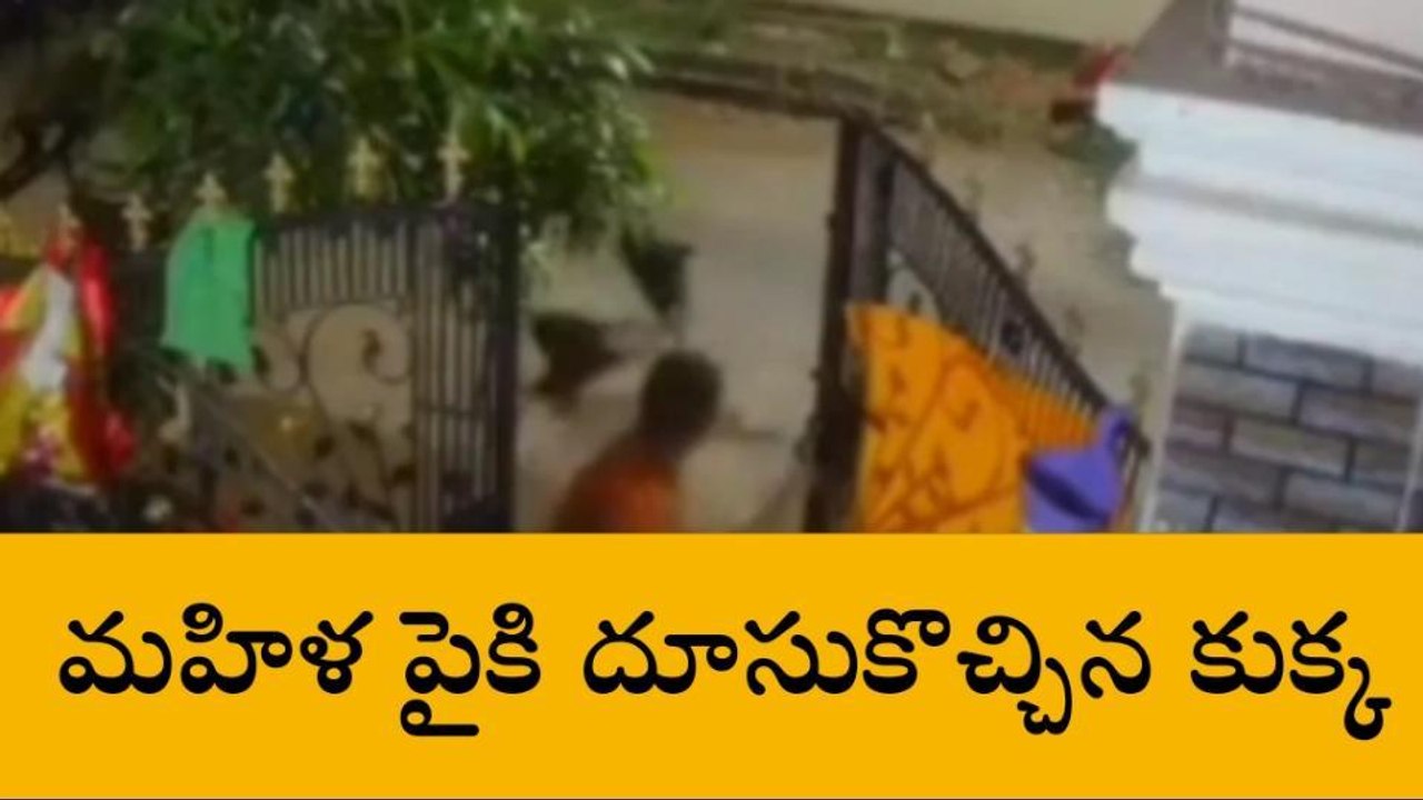 ఎల్బీనగర్: ముగ్గు వేస్తున్న మహిళ పైకి దూసుకొచ్చిన కుక్క
