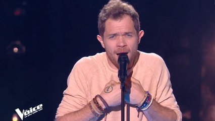 « C'est extraordinaire » : Morgan, frère de Mister Mat, étonne les jurés et internautes de The Voice
