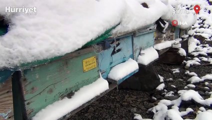 Şırnak nisan ayında beyaza büründü