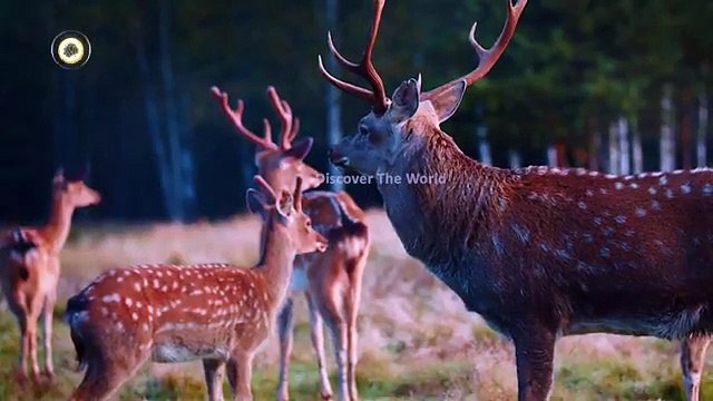 10 Most's Mysterious Archeological Finds In Urdu + Hindi.