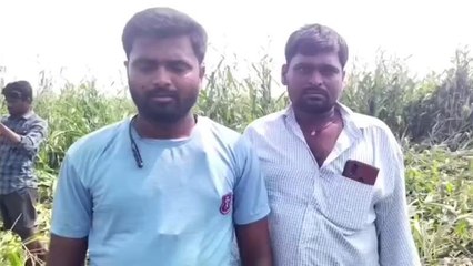 భూపాలపల్లి: సర్వే చేశారు కానీ పంట నష్టం ఎప్పుడొస్తుందో?