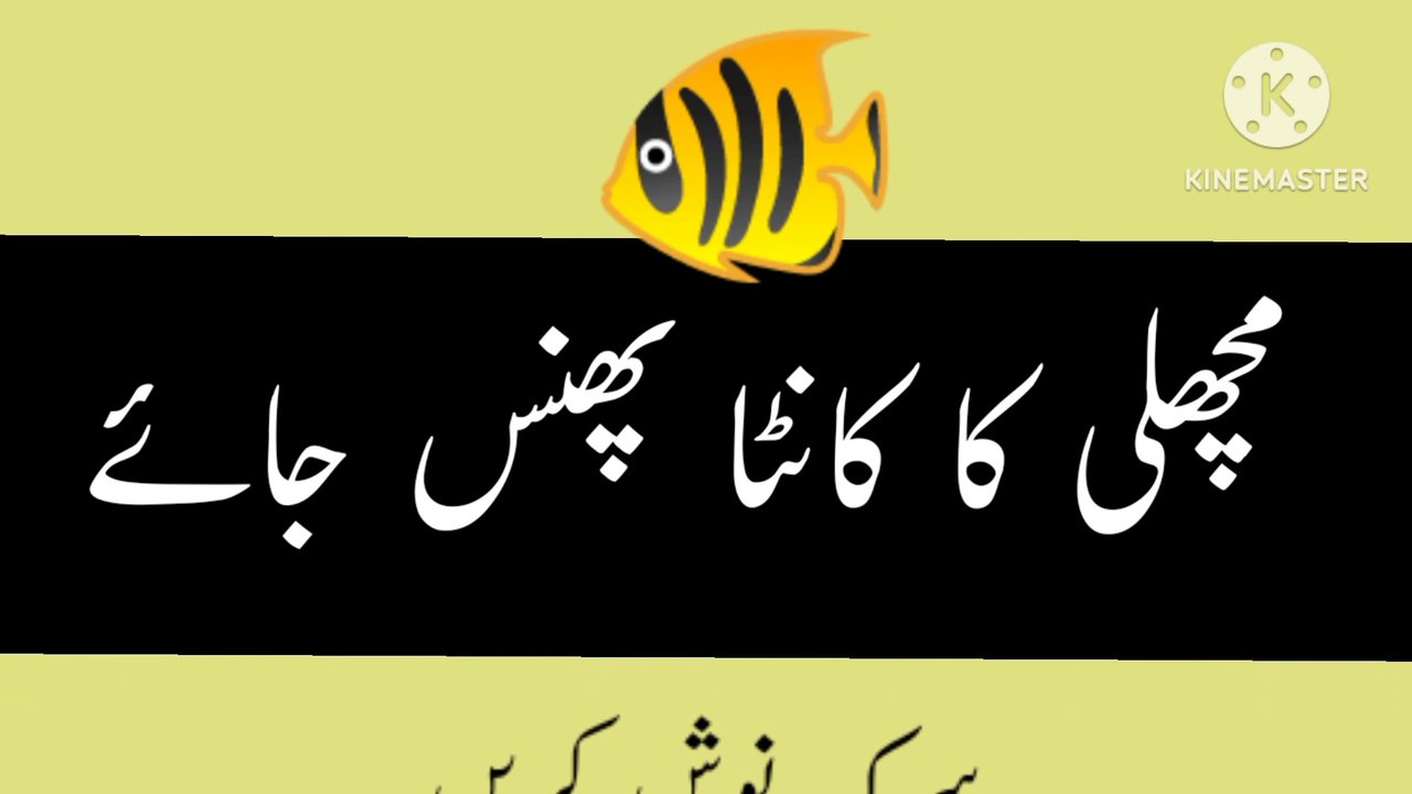 MACHLI KA KANTA Nikanle Ka tarika in urdu
