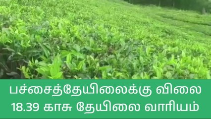 நீலகிரி மாவட்ட தேயிலை விவசாயிகளுக்கு முக்கிய அறிவிப்பு