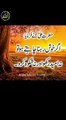 Golden Words _ Islamic Urdu Poetry _ Urdu Shayari _ Urdu Quotes(360P)