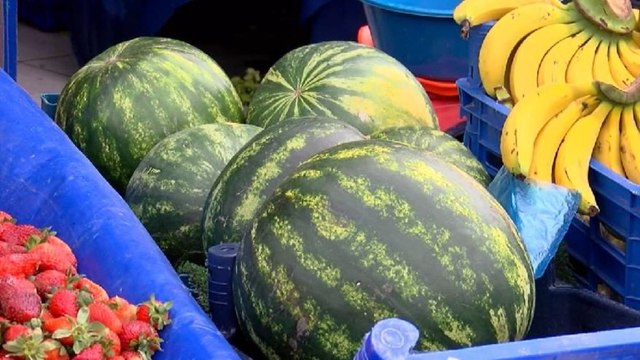 Karpuz tezgahlarda yerini aldı