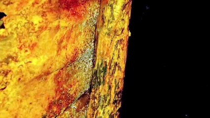 15 Amazing New Discoveries From Egypt