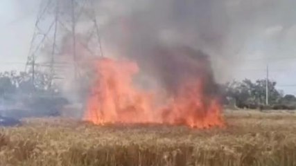 आगरा: किसान के खलिहान में लगी भीषण आग गेहूं की फसल जलकर हुई राख