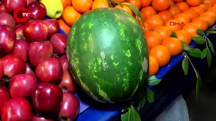 Karpuz tezgahlarda yerini aldı: Kilosu 20 ile 35 lira arasında değişiyor