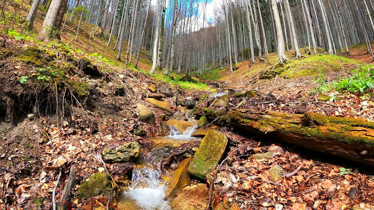beautiful natural scene