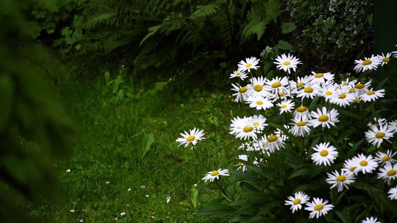 nature is best