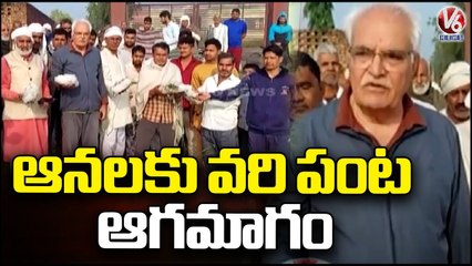 Unseasonal Rains Creates Huge Crop Damage To Haryana Farmers | V6 News