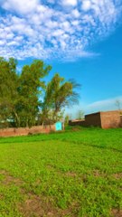 nature video 2023 || Beautiful Nature Video of Village || Amazing Background Video