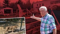 Ankara'da mahalle arasındaki hayvanat bahçesi yıkıldı