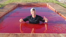 World's Largest Jello Pool - Can you swim in Jello? | Mark Rober