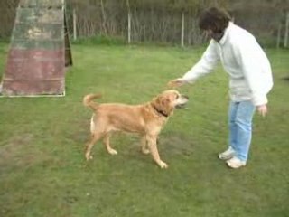 Nicky adore jouer à la balle