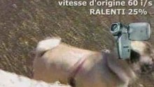 XACTI_CG9