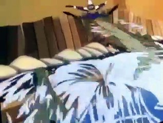 Darkwing Duck S01 E007 - Dirty Money