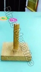Amazing Parrot Video So Cute #Part2534 #youtubeshorts #shorts