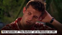 6 Reasons Zach Shallcross Just Might Be The Perfect Bachelor