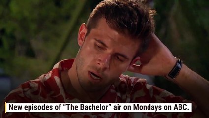 6 Reasons Zach Shallcross Just Might Be The Perfect Bachelor