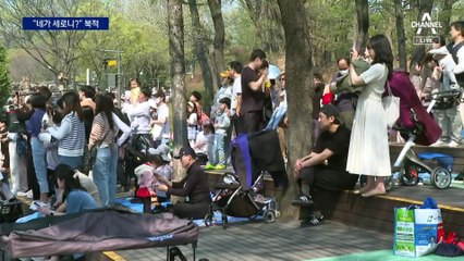 “네가 세로니?” 얼룩말 보러 동물원 ‘북적’