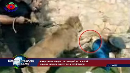 Marie-Ange Nardi : ce jour où elle a été  par un lion en direct à la télévision