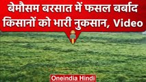 Wheather Update: Rohtak में बारिश से गेहूं और सरसों की फसल को नुकसान | वनइंडिया हिंदी #Shorts