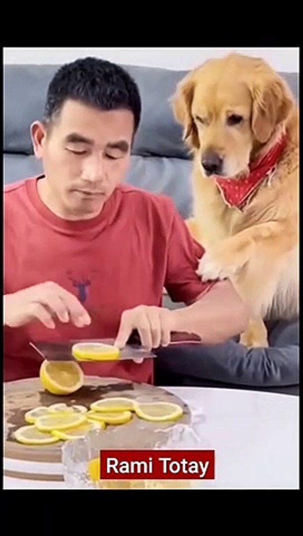 ⁣Funny pets