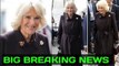 ROYALS SHOCKED! Camilla, Queen Consort, appears 