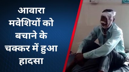 सीधी: मवेशी को बचाते वक्त बाइक चालक व दुर्घटना का शिकार, अस्पताल में चल रहा है इलाज
