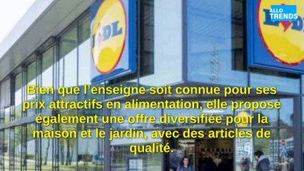 Lidl dévoile une collection éclatante de vaisselle pour célébrer l'arrivée du printemps !