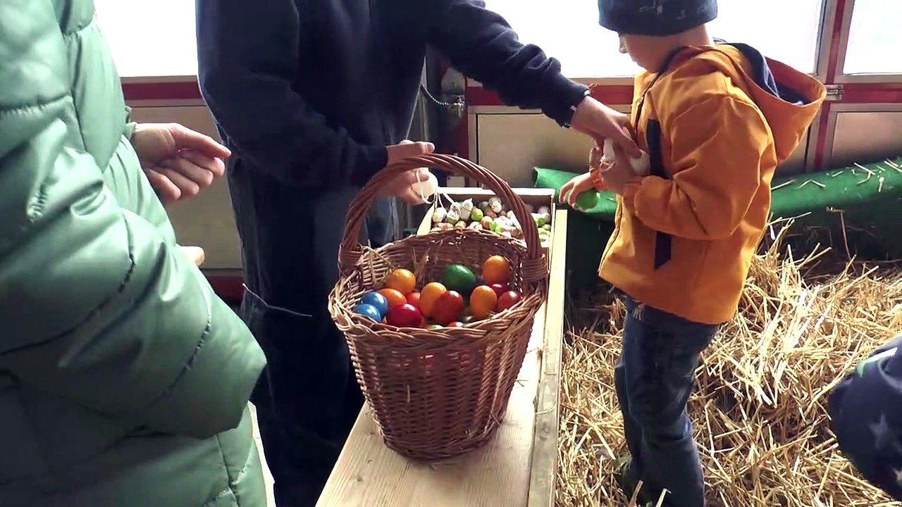 Der Osterhase bei der  Freiwilligen Feuerwehr  Groß-Enzersdorf