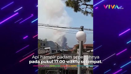 Hutan Tebakar, Pesawat Pengebom Air Gagah Taklukan Api