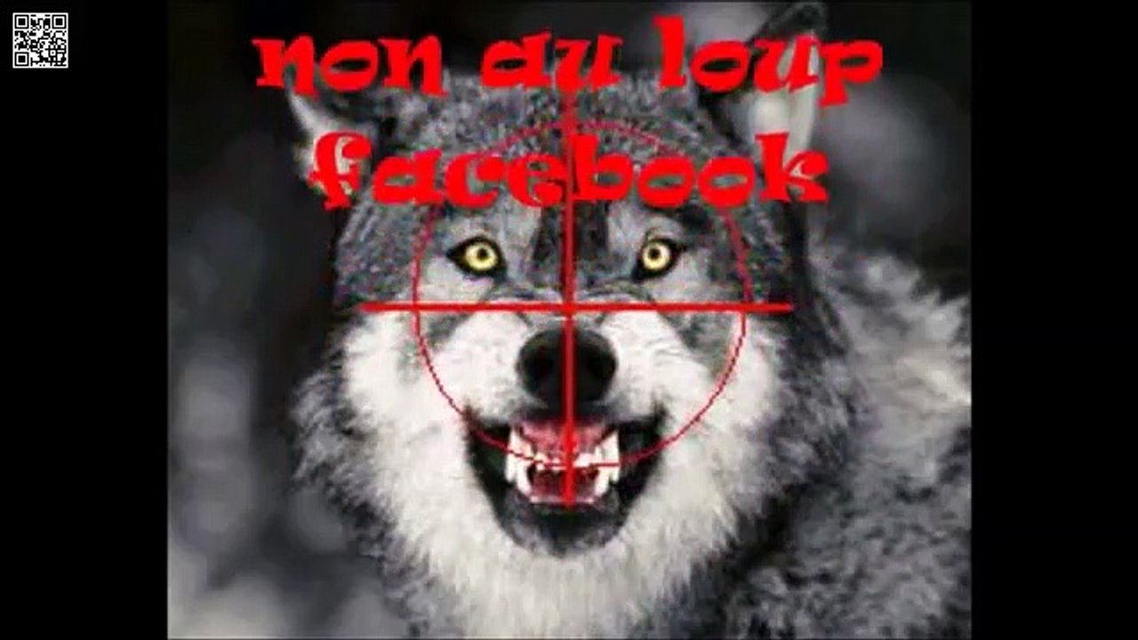 Polémique le loup est-il de retour en Limousin